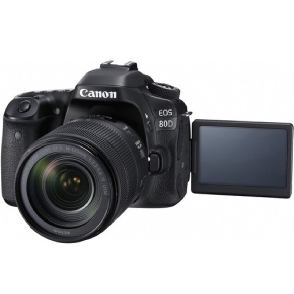 Canon 80D 18-135mm lens - Picture 9 of 14